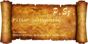 Pilter Szilveszter névjegykártya